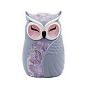 Wise Wings Figurine - Knowledge
