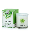 [BBC-12] Bramble Bay Co - Bamboo & Amber 270g Soy Wax Candle