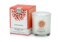 [BBC-14] Basil & Mandarin 270g Candle - Bramble Bay