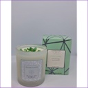 [CIC-110] Bramble Bay Co - Aventurine Crystal Infusions Candle (Lemon Myrtle)
