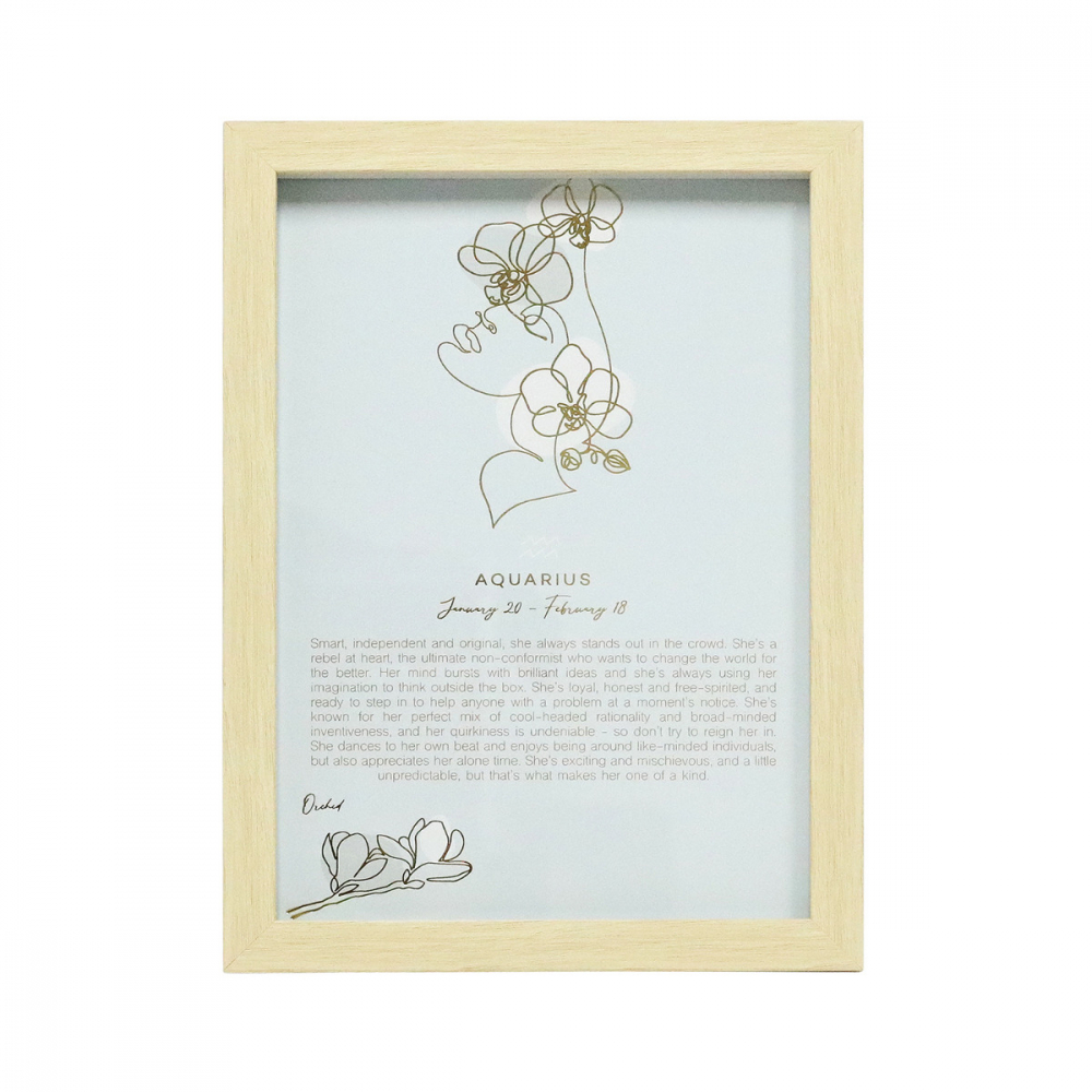 Mystique Framed Print Aquarius - Splosh