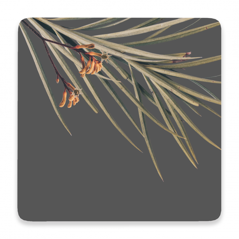 Flourish Spikey Leaf Ceramic Coaster - Splosh