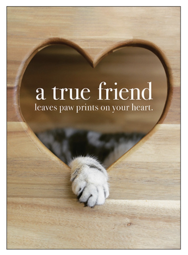 A True Friend Inspirational Card - Affirmations
