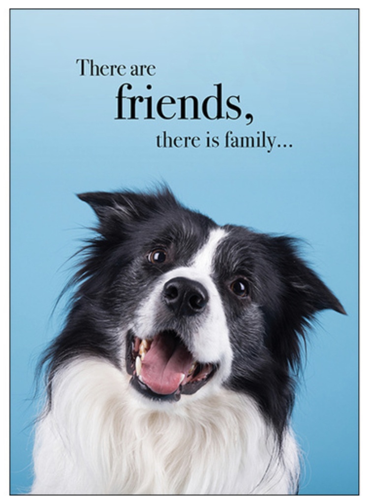 Dog Animal Friendship Inspirational Card - Affirmations