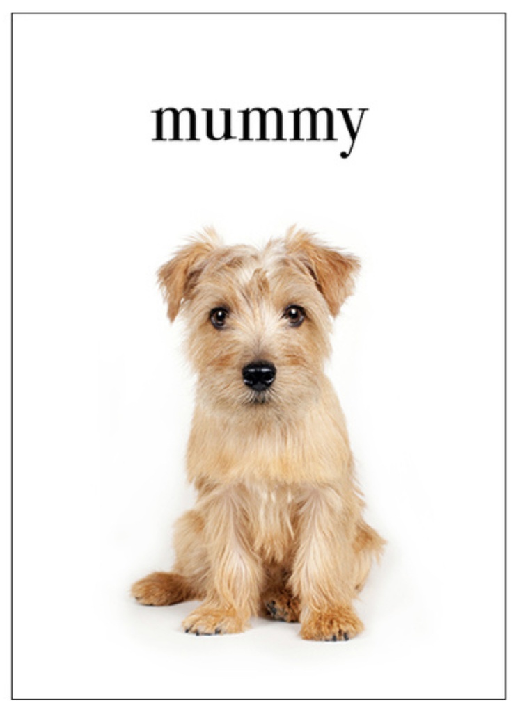 Puppy Mummy Inspirational Card - Affirmations