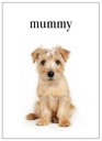 [M102] Puppy Mummy Inspirational Card - Affirmations
