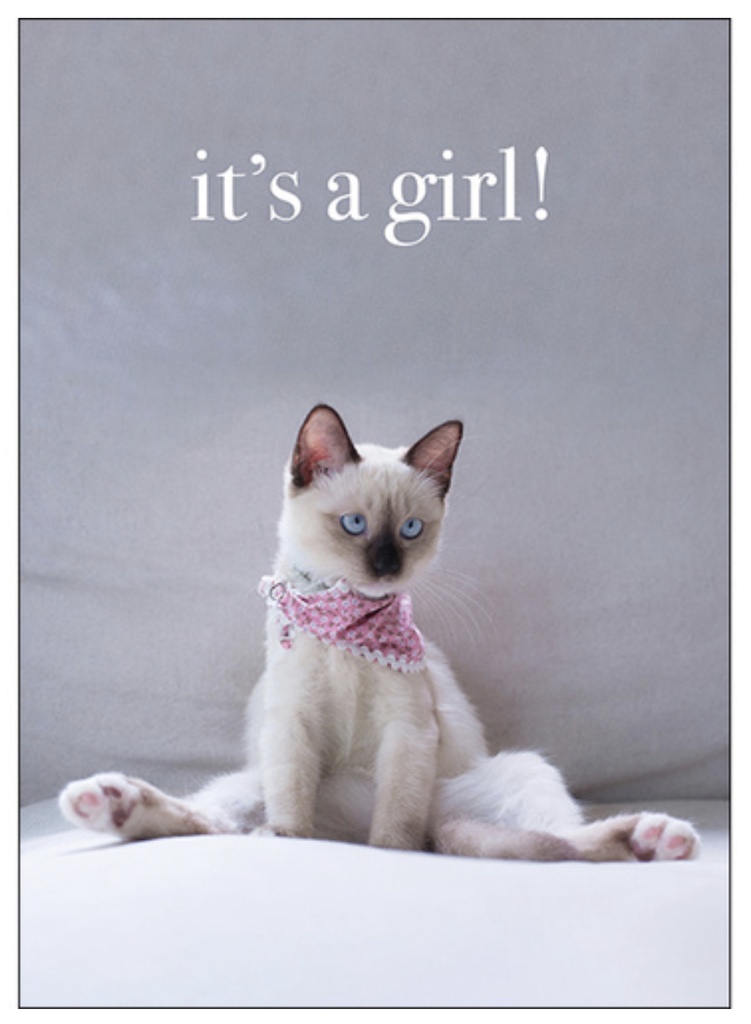 Kitten Its A Girl Inspirational Card - Affirmations