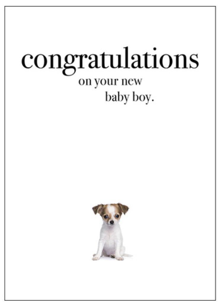 Puppy Congratulations On Your Baby Boy Inspirational Card - Affirmations