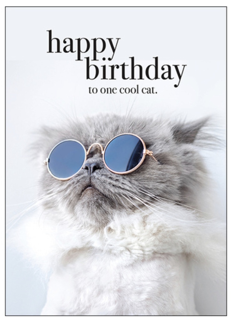 Cool Cat Birthday Inspirational Card - Affirmations