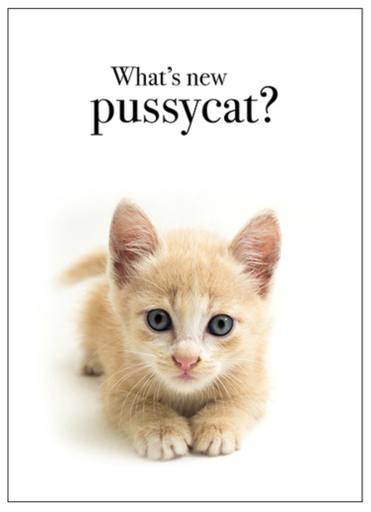 Kitten Animal Thinking Of You Inspirational Card - Affirmations