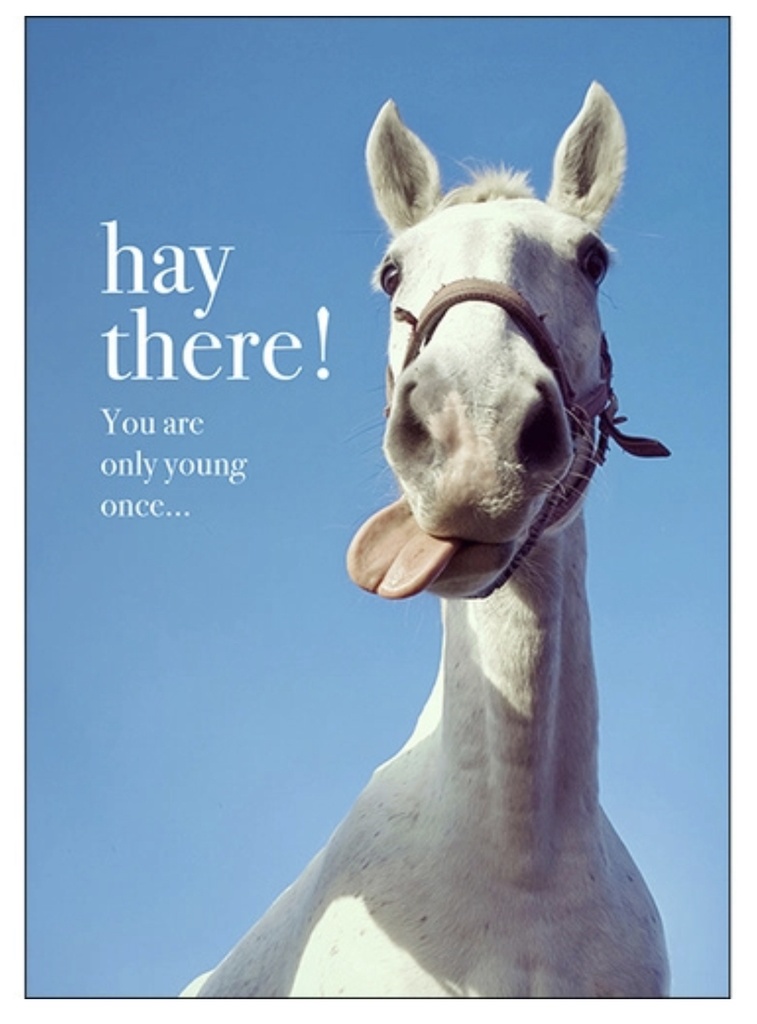 Horse Birthday Inspirational Card - Affirmations