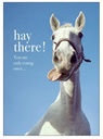 [M85] Horse Birthday Inspirational Card - Affirmations