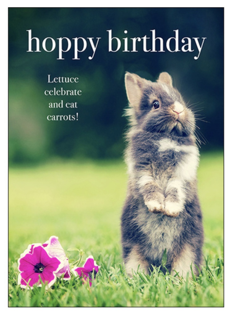 Rabbit Birthday Inspirational Card - Affirmations