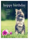 [M82] Rabbit Birthday Inspirational Card - Affirmations