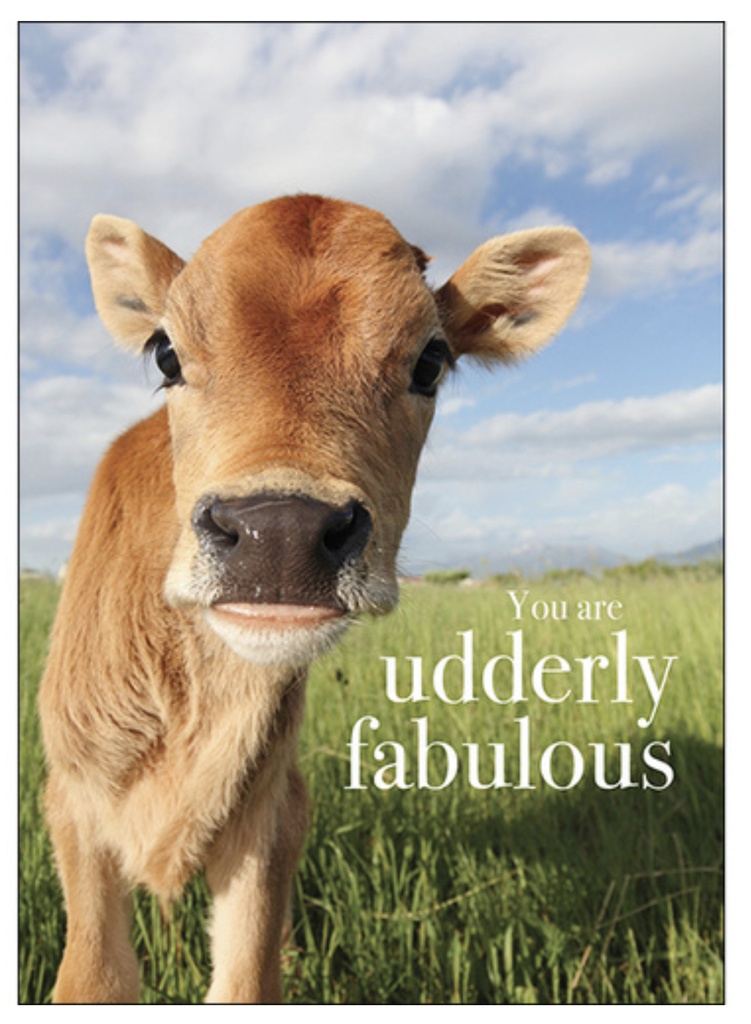 Cow Inspirational Card - Affirmations