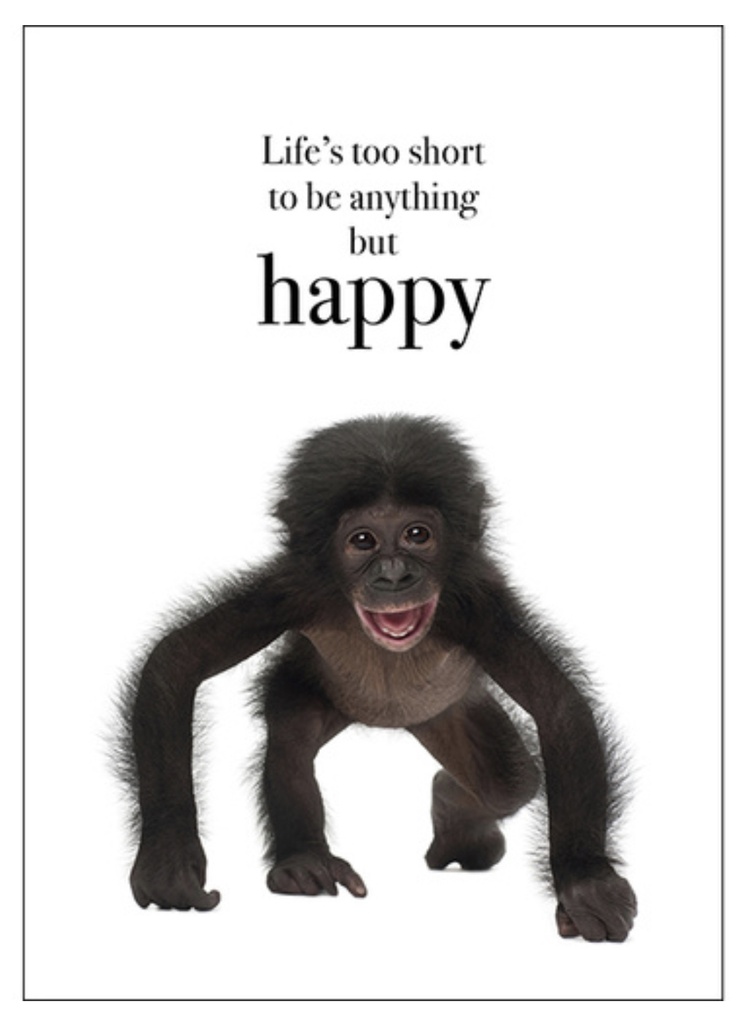Baby Gorilla Inspirational Card - Affirmations