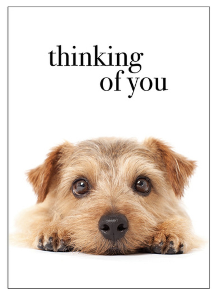 Puppy Thinking Of You Inspirational Card - Affirmations