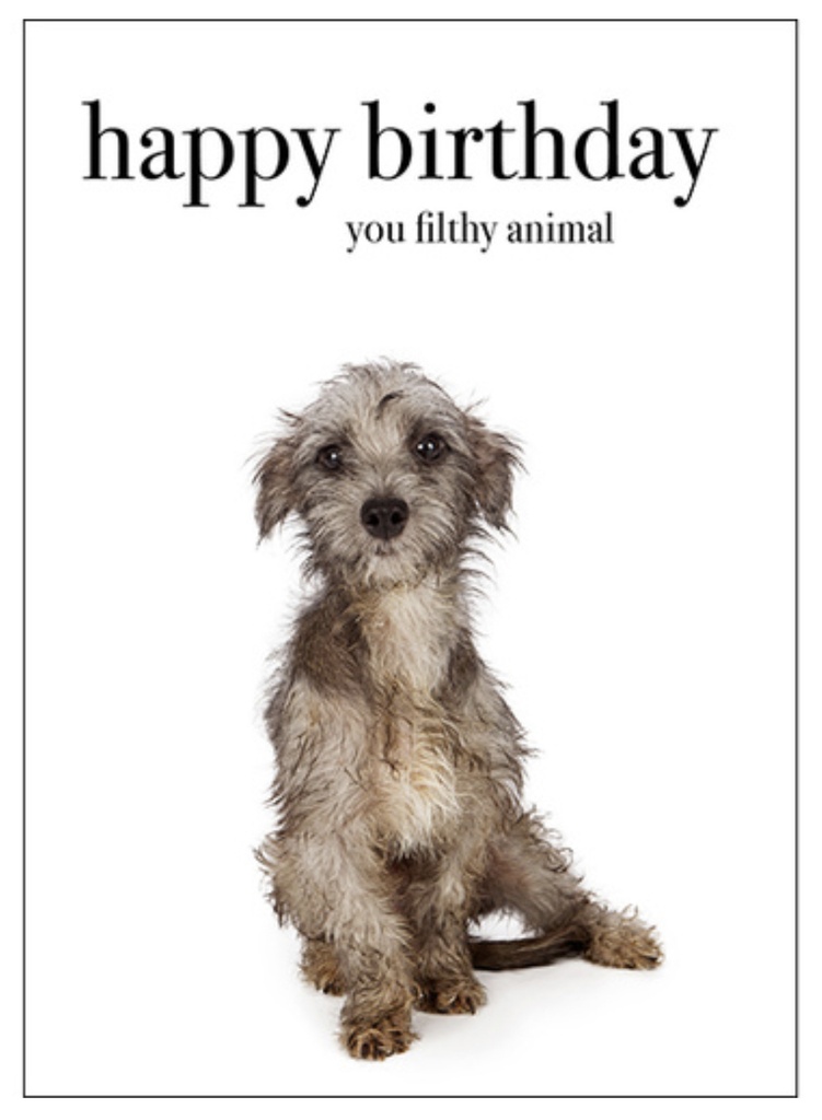 Dog Birthday Inspirational Card - Affirmations