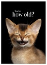 [M32] Kitten Animal Birthday Inspirational Card - Affirmation