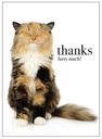 [M69] Cat Thank You Inspirational Card - Affirmations