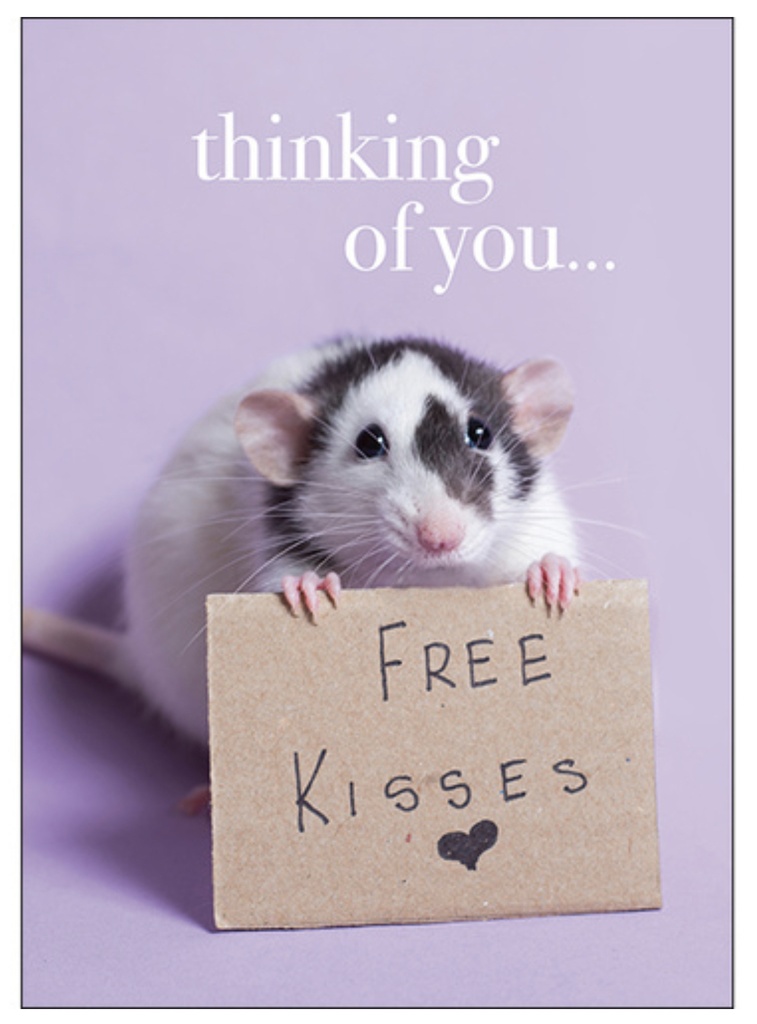 Mouse Thinking Of You Inspirational Card - Affirmations