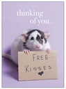 [M74] Mouse Thinking Of You Inspirational Card - Affirmations