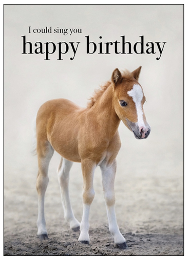 Horse Animal Birthday Inspirational Card - Affirmations
