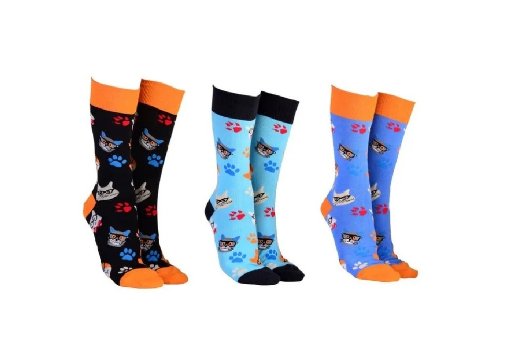 Sock Society - Cat in Specs