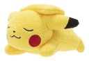Pokemon 5" Sleeping Plush Assortment