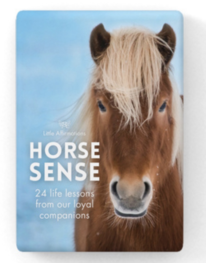 Horse Sense - 24 Affirmation Cards + Stand