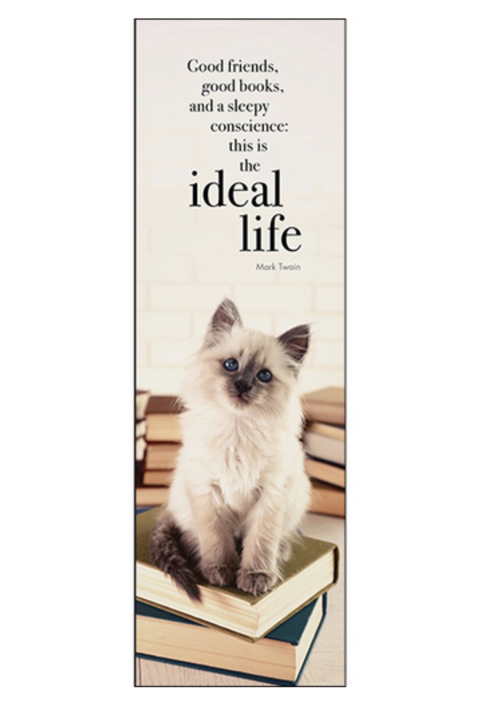 Ideal Life Inspirational Bookmark - Affirmations