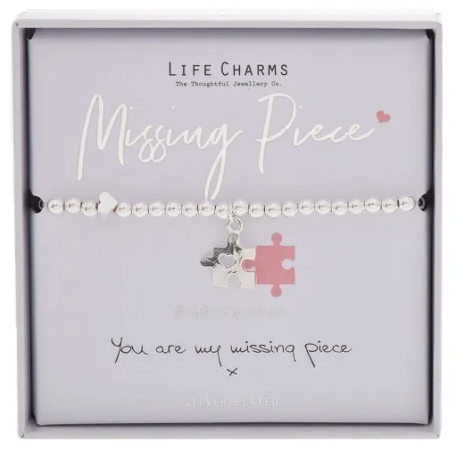 Missing Piece - Life Charms Bracelet