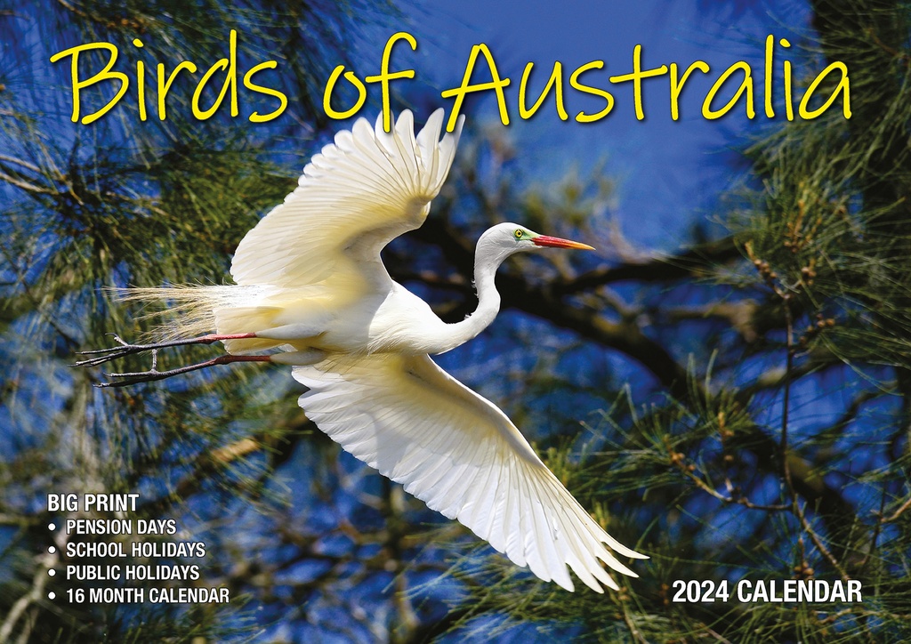 ​Birds of Australia Big Print 2024 Calendar