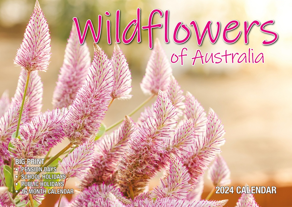 ​Australian Wildflowers Big Print 2024 Calendar