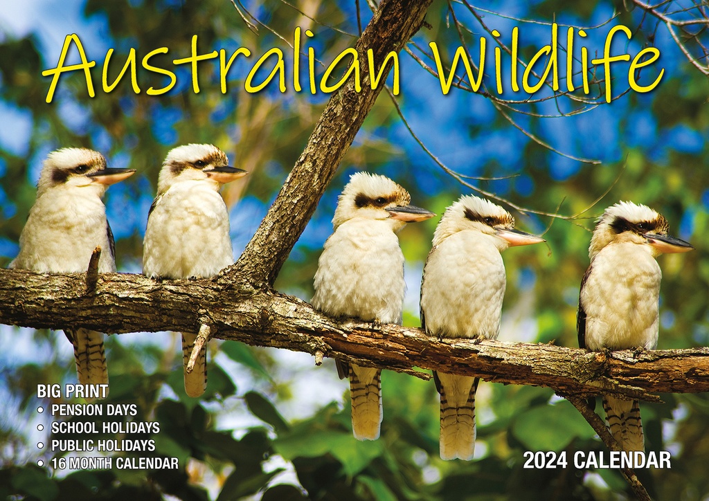 ​Australian Wildlife Big Print 2024 Calendar