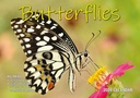​Butterflies Big Print 2024 Calendar
