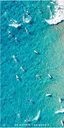 Longboard Beach Party Beach Towel - Destination Label
