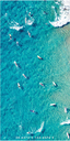 [LNGB01] Longboard Beach Party Beach Towel - Destination Label