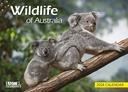 ​Wildlife of Australia 2024 Calendar