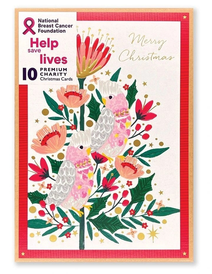 Simson Boxed Christmas Cards (Breast Cancer Charity Pack of 10) - Galah Greetings
