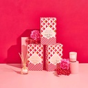 Winter Berries Mini Candle & Diffuser Pack - Palm Beach Collection