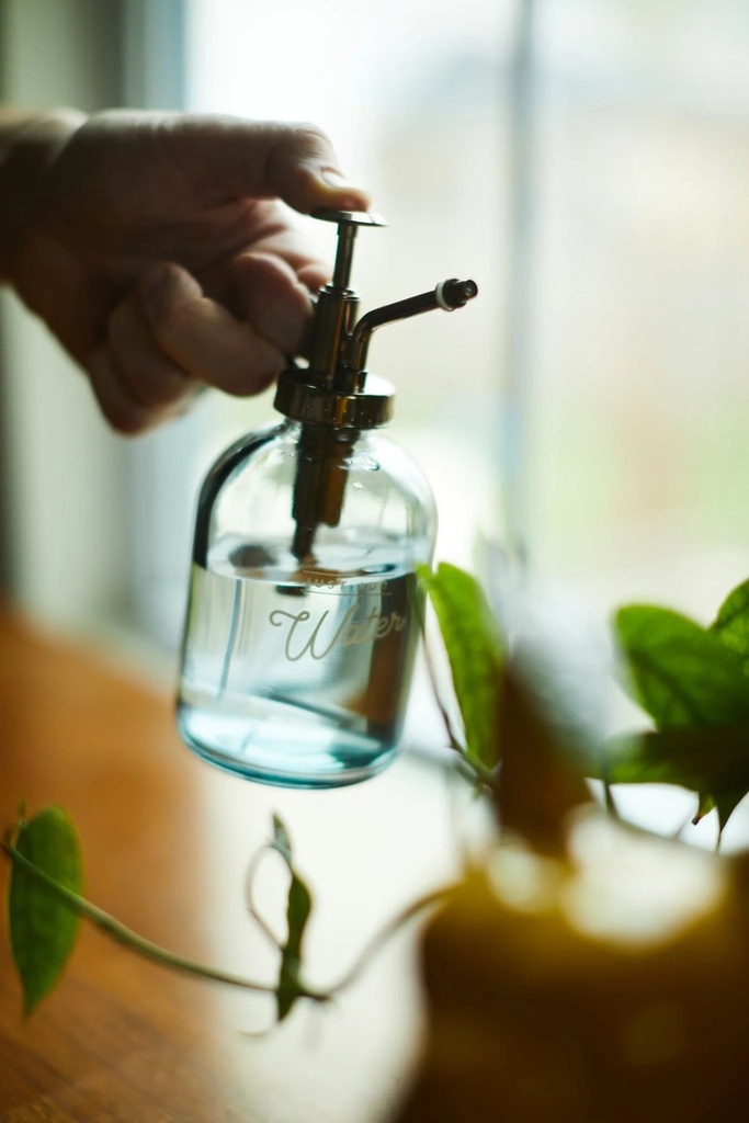 Glass Plant Mister - Gentlemen's Hardware