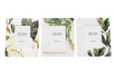 Greenhouse Mini Ceramic Frame Set - Splosh
