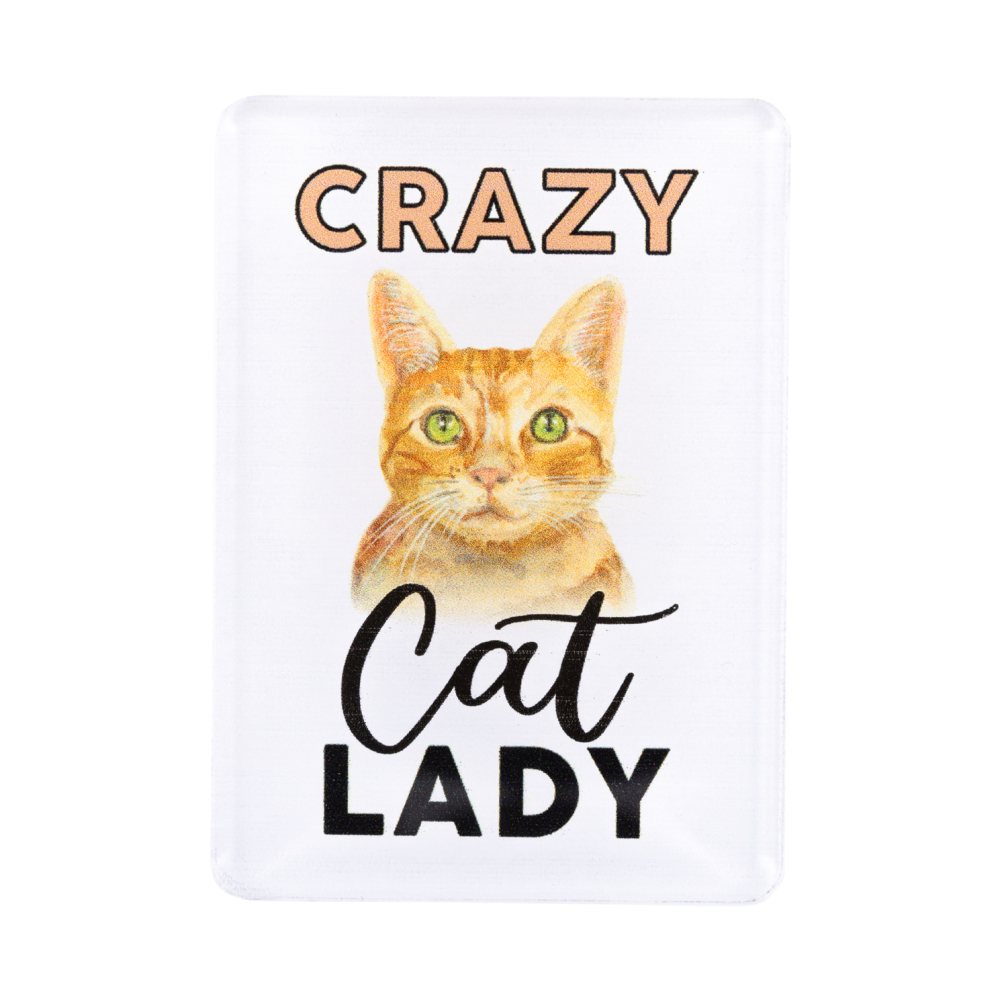 Pet Lovers Acrylic Magnet - Crazy Cat Lady