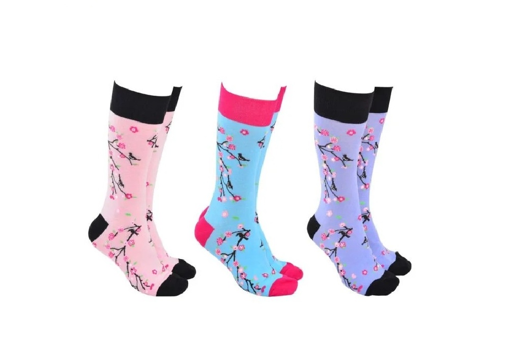 Sock Society - Cherry Blossoms