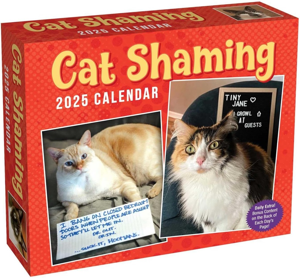 Cat Shaming 2025 Day-to-Day Boxed Calendar