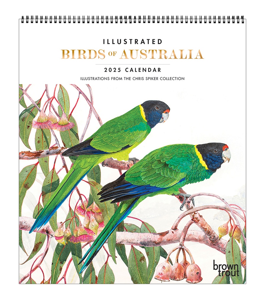 Illustrated Birds of Australia 2025 Deluxe Calendar