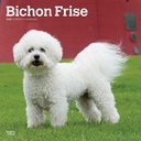 Bichon Frise 2025 Square Calendar
