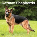 German Shepherds 2025 Square Calendar