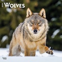 Wolves 2025 Square Calendar